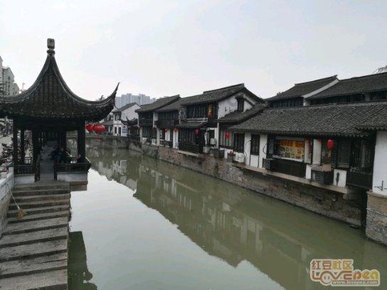 赵县持续开展高校学子家乡行活动